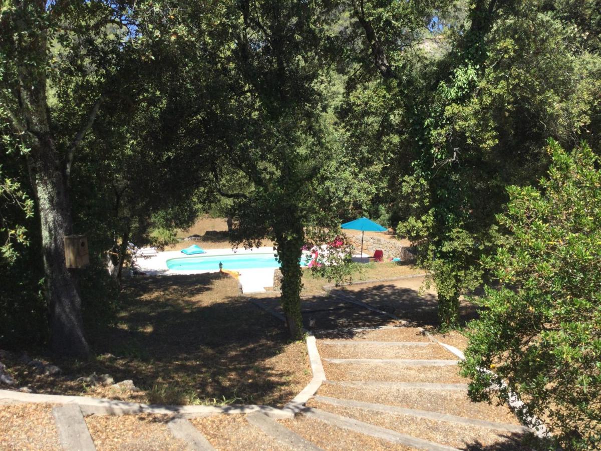 Villa Bleucassis Taradeau ภายนอก รูปภาพ